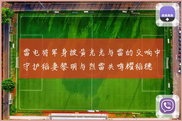 雷电将军身披黄光光与雷的交响中守护稻妻黎明与烈雷共鸣耀稻穗