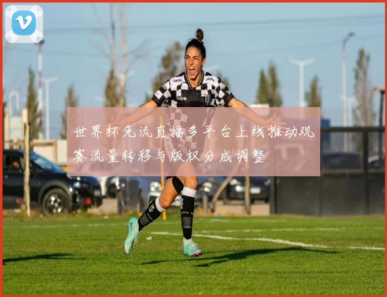 世界杯免流直播多平台上线推动观赛流量转移与版权分成调整