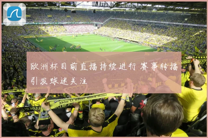 欧洲杯目前直播持续进行 赛事转播引发球迷关注