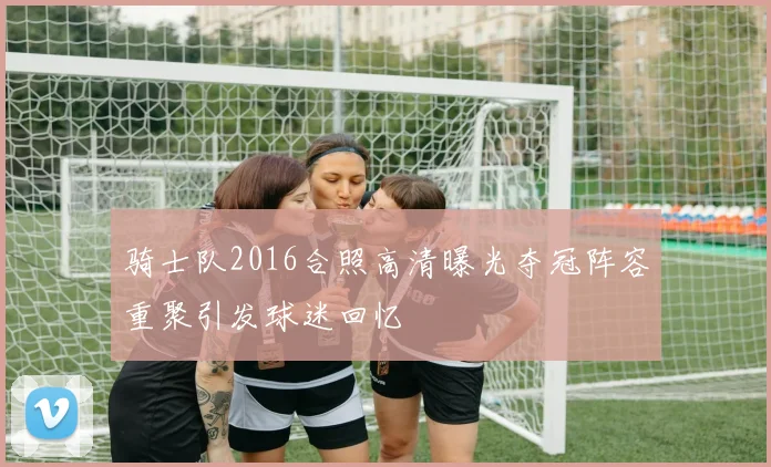 骑士队2016合照高清曝光夺冠阵容重聚引发球迷回忆