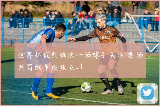 世界杯裁判执法一场球引关注 赛场判罚细节成焦点_1