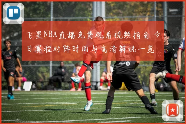 飞星NBA直播免费观看视频指南 今日赛程对阵时间与高清解说一览