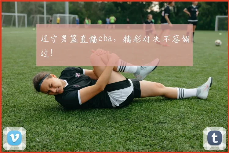 辽宁男篮直播cba,精彩对决不容错过!