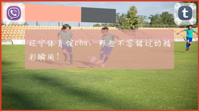辽宁体育馆cba,那些不容错过的精彩瞬间!