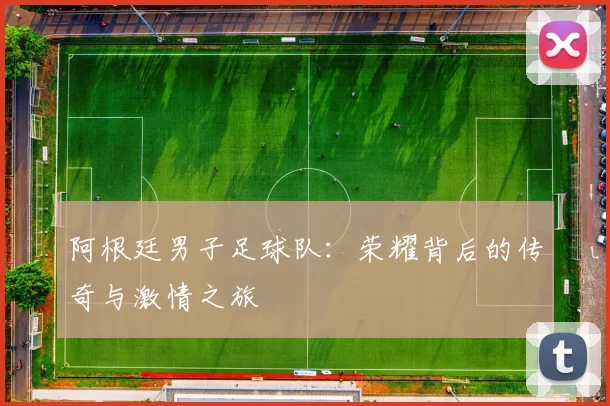 阿根廷男子足球队:荣耀背后的传奇与激情之旅