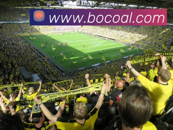 开云·kaiyun(中国)·web版登录入口APP 高清赛事图